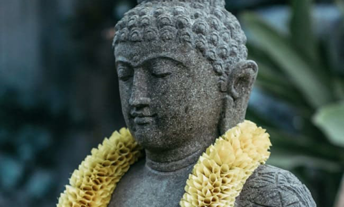 Bhikkhu Bodhi | Nguyễn Duy Nhiên dịch: Đức Phật bên trong - Hội Đồng Hoằng  Pháp